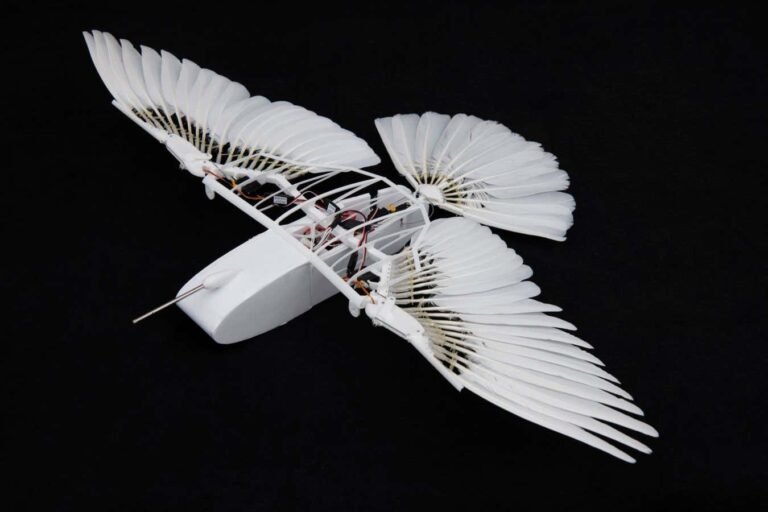 Robotic pigeon reveals how birds fly without a vertical tail fin