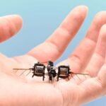 Tiny insect-like robot can flip, loop and hover for up to 15 minutes