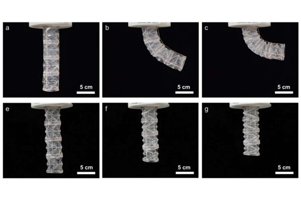 Robot made from pig gelatin biodegrades when no longer needed